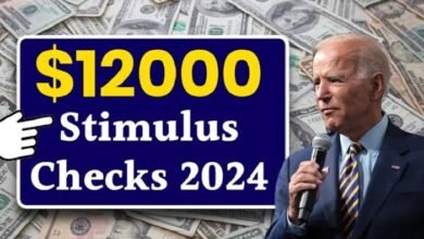 $12000 stimulus check 2024